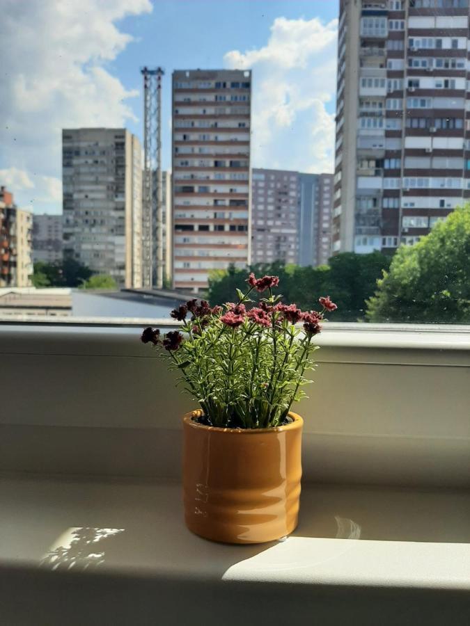 Amigi Apartman Szarajevó Kültér fotó